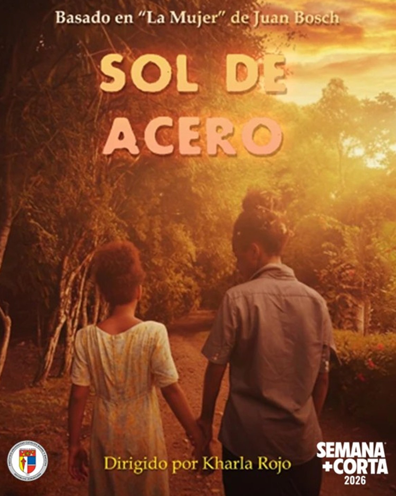 Sol de Acero